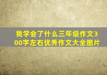 我学会了什么三年级作文300字左右优秀作文大全图片