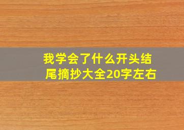 我学会了什么开头结尾摘抄大全20字左右