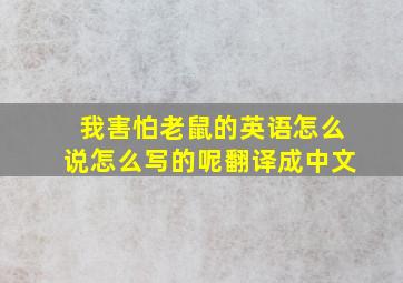 我害怕老鼠的英语怎么说怎么写的呢翻译成中文