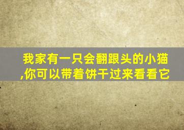 我家有一只会翻跟头的小猫,你可以带着饼干过来看看它