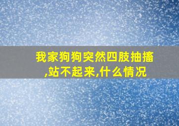 我家狗狗突然四肢抽搐,站不起来,什么情况