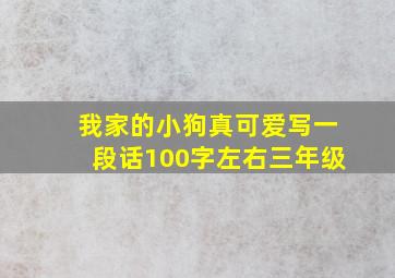 我家的小狗真可爱写一段话100字左右三年级