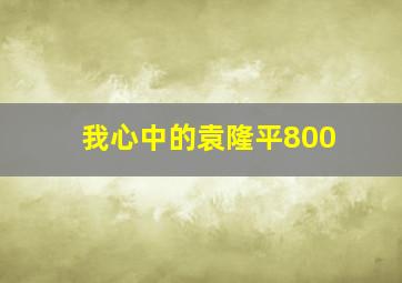 我心中的袁隆平800