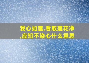 我心如莲,看取莲花净,应知不染心什么意思