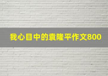 我心目中的袁隆平作文800