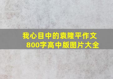 我心目中的袁隆平作文800字高中版图片大全