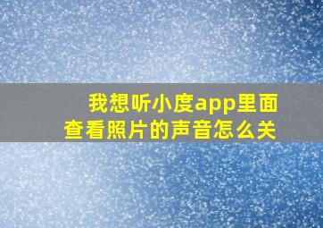 我想听小度app里面查看照片的声音怎么关