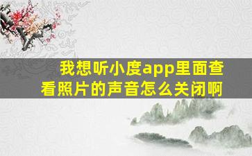 我想听小度app里面查看照片的声音怎么关闭啊