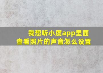 我想听小度app里面查看照片的声音怎么设置