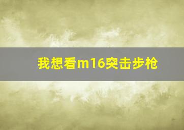 我想看m16突击步枪