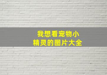 我想看宠物小精灵的图片大全