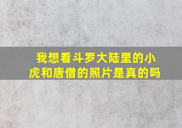 我想看斗罗大陆里的小虎和唐僧的照片是真的吗