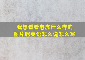 我想看看老虎什么样的图片呢英语怎么说怎么写