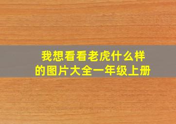 我想看看老虎什么样的图片大全一年级上册