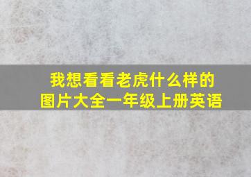 我想看看老虎什么样的图片大全一年级上册英语