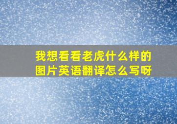 我想看看老虎什么样的图片英语翻译怎么写呀