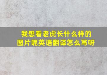 我想看老虎长什么样的图片呢英语翻译怎么写呀