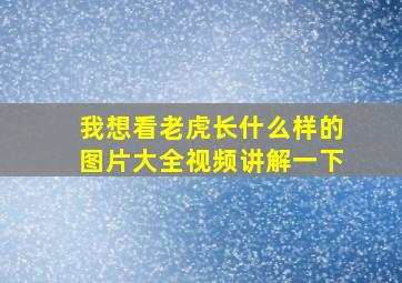 我想看老虎长什么样的图片大全视频讲解一下