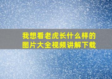 我想看老虎长什么样的图片大全视频讲解下载