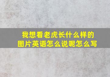 我想看老虎长什么样的图片英语怎么说呢怎么写