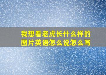 我想看老虎长什么样的图片英语怎么说怎么写