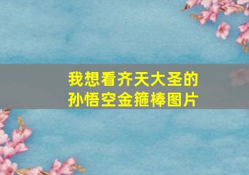 我想看齐天大圣的孙悟空金箍棒图片