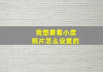 我想要看小度照片怎么设置的