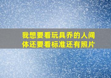 我想要看玩具乔的人间体还要看标准还有照片