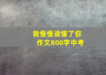 我慢慢读懂了你作文800字中考