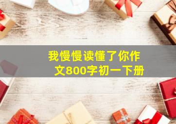 我慢慢读懂了你作文800字初一下册