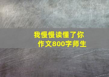 我慢慢读懂了你作文800字师生