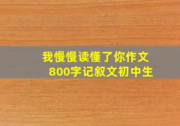 我慢慢读懂了你作文800字记叙文初中生