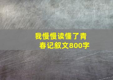 我慢慢读懂了青春记叙文800字