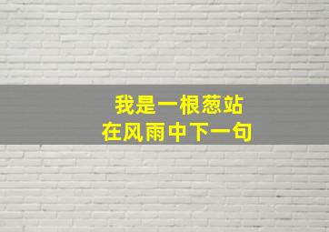 我是一根葱站在风雨中下一句