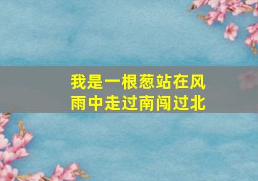 我是一根葱站在风雨中走过南闯过北