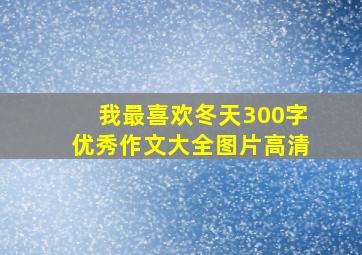 我最喜欢冬天300字优秀作文大全图片高清