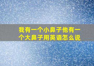 我有一个小鼻子他有一个大鼻子用英语怎么说