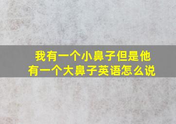 我有一个小鼻子但是他有一个大鼻子英语怎么说