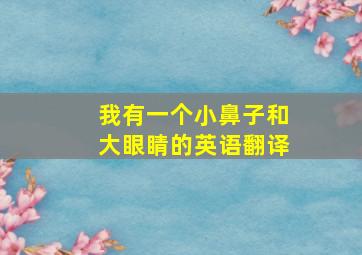 我有一个小鼻子和大眼睛的英语翻译