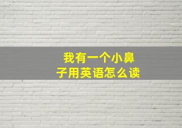 我有一个小鼻子用英语怎么读