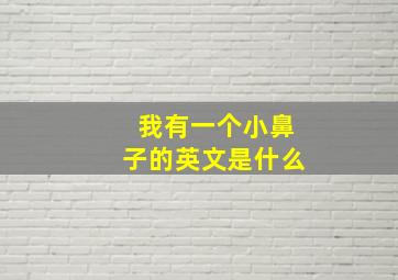 我有一个小鼻子的英文是什么