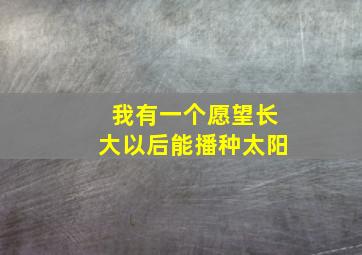 我有一个愿望长大以后能播种太阳