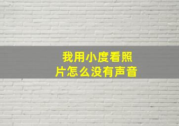 我用小度看照片怎么没有声音