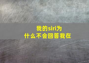 我的siri为什么不会回答我在