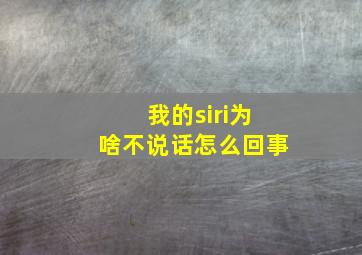 我的siri为啥不说话怎么回事