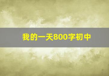 我的一天800字初中