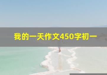 我的一天作文450字初一