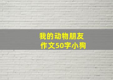 我的动物朋友作文50字小狗