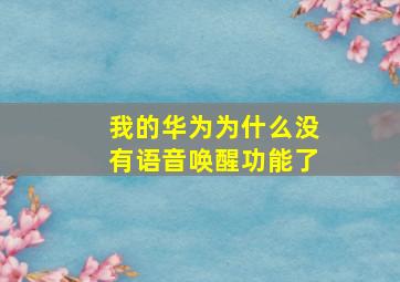 我的华为为什么没有语音唤醒功能了