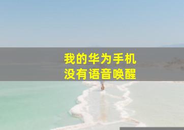 我的华为手机没有语音唤醒